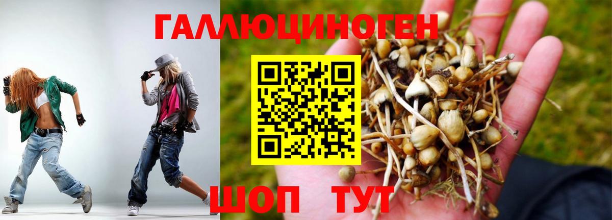 Галлюциногенные грибы Psilocybine cubensis  Вход с VPN  Галлюциногенные грибы Psilocybine cubensis  Усть-Джегута 